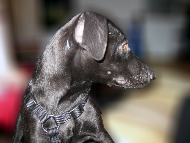 Bild 4